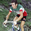Salvarani Champion d'Italie - Maillot de cyclisme vintage manches courtes